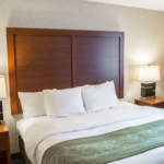 Single Comfort Suites by Choice Hotels