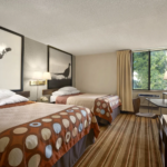 08134_guest_room_2