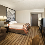 08134_suite_1